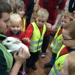 Pre-school children at Jolly Jesters pet shop