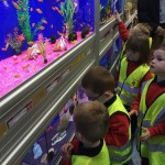 Pre-school children at Jolly Jesters pet shop