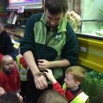 Pre-school children at Jolly Jesters pet shop